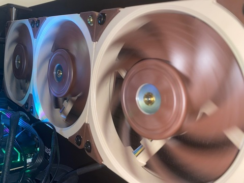 Only Fans @on1y_fans cover picture