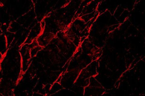 k. @onefungirl cover picture