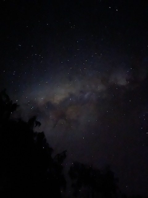 Dyl @onlyabitofthis cover picture