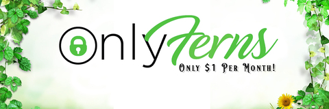 OnlyFerns @onlyferns cover picture