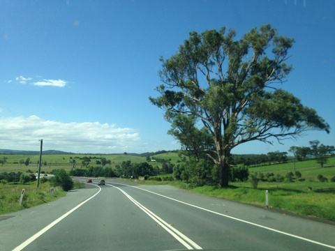 WizPRIV @onlywiz cover picture