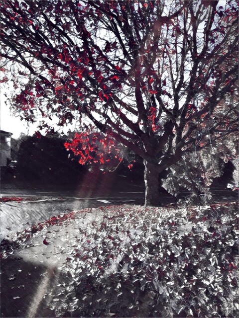 Oscar Orjuela @orjuela cover picture