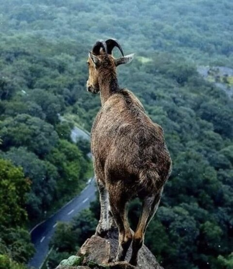 Ovarybuster17 @ovarybuster17 cover picture