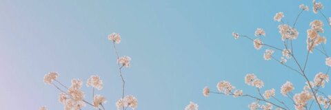 annika jacobsen @oxy_ginnn cover picture