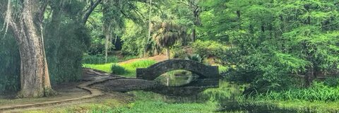 Paco McCray @pacomccray cover picture