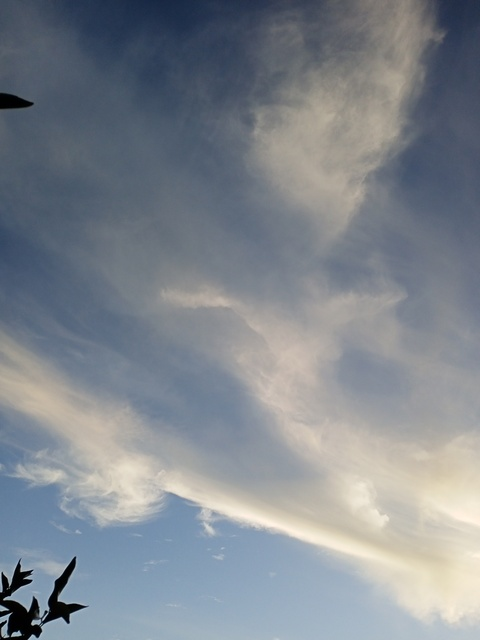 padshiiangel @padshiiangel cover picture