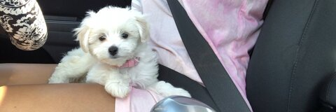 Paige Denea!🤦🏽‍♀️ @paigedenea cover picture