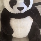 pandasticpron Profile Picture
