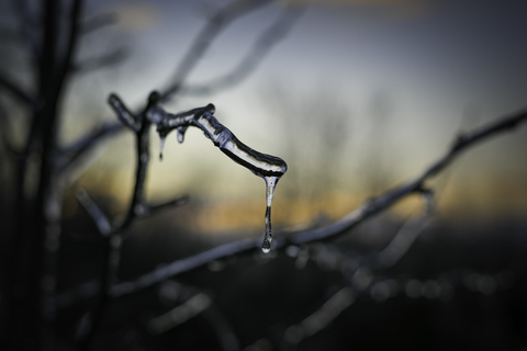 Milos @panienago cover picture