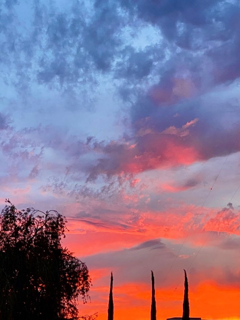 Cake @pastel_senpai cover picture