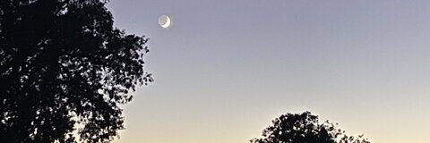 𝑲𝒘𝒐𝒍𝒊 @paulanieto251 cover picture