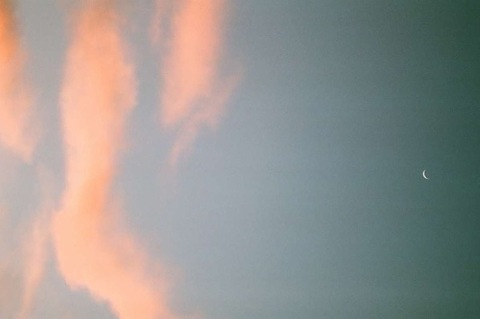 meg @peachpajamm cover picture