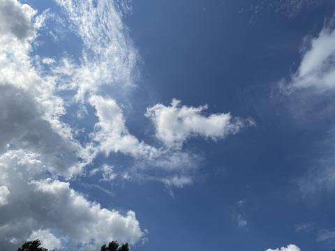 Peachy_D @peachy_d cover picture