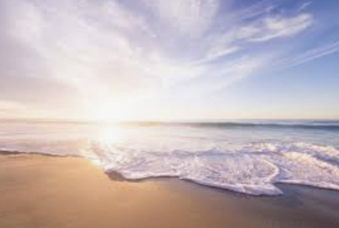 Olivia Blake @peachymiss09 cover picture