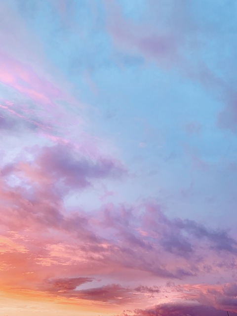 Peachyotter 🍑 @peachyotter cover picture