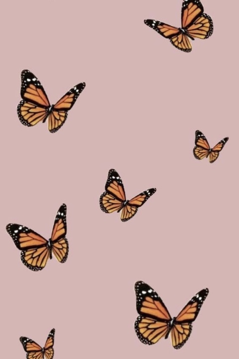 Peachy @peachyxx cover picture