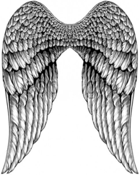 Pearl @pearlxoxo1 cover picture