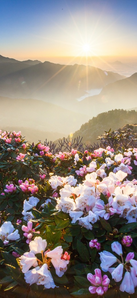 Paige @penelopcc cover picture