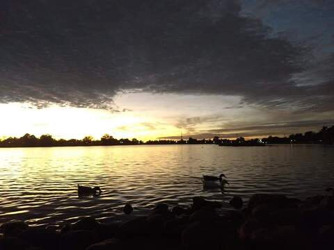 Ronni @penisvg cover picture