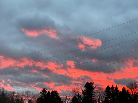 PBJ @peppabopeep cover picture