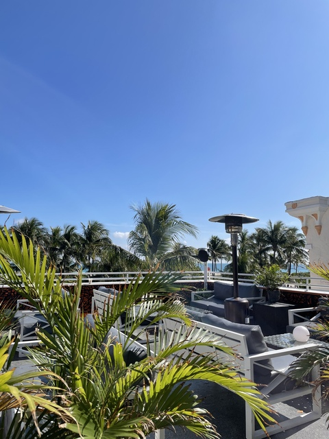 Indigo&amp;Friends @petasmith cover picture