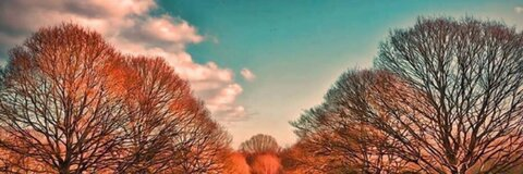 peter @peterg2021 cover picture