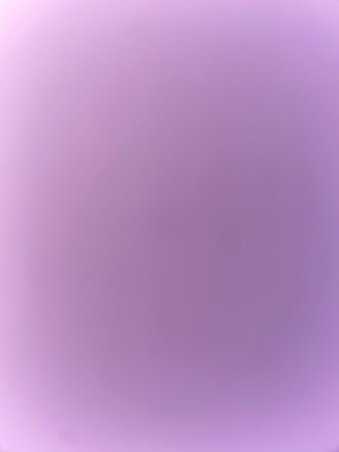 petitebaby222 @petitebaby222 cover picture