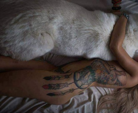 Petra @petra1999 cover picture