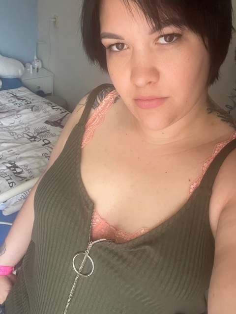 Petulka @petulka cover picture