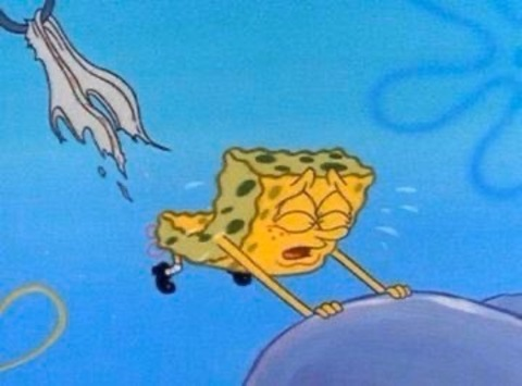 Fire @phatpussydfire cover picture