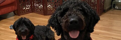 Philly @phillybizkitz cover picture