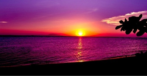 David Edie Jr @phoenixflame101 cover picture