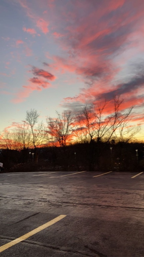 Amiah @phora_090 cover picture