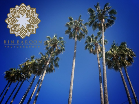 u7999607 @photography cover picture