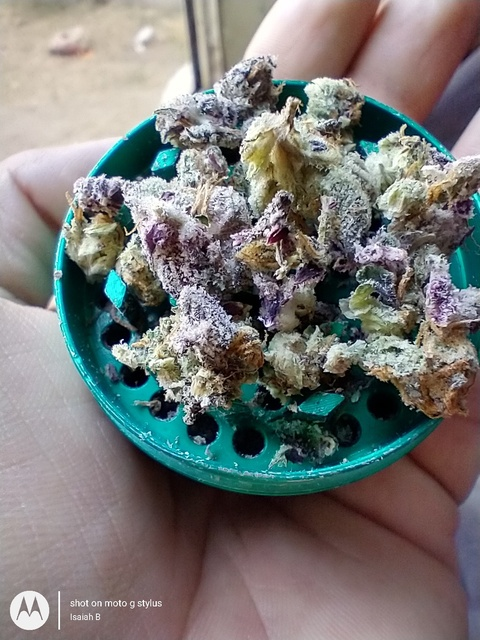 PimpinaintEz @pimpinaintez32 cover picture