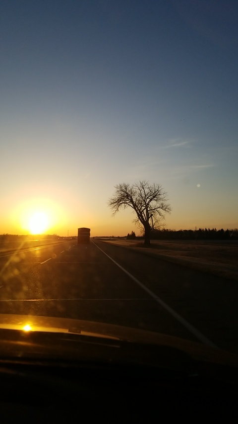 Dawn @piont cover picture