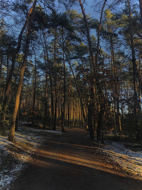 Saraah @pistas cover picture