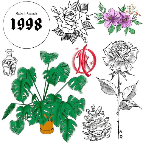 Kels @plant_ghost cover picture