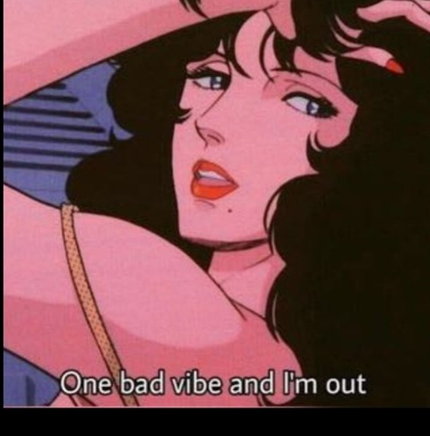 lp @pleasuredoinvibes cover picture