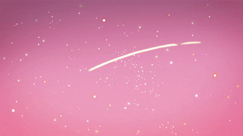 plushie 🐰 (he/him) @plushbunny cover picture