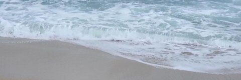 Neesii ❣️ @pneesii cover picture