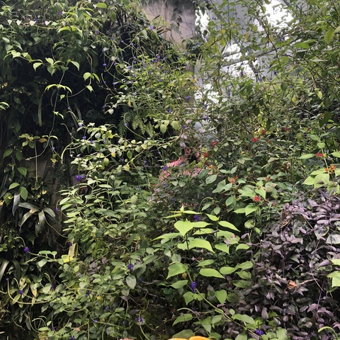 Lola Flores @poutypisces cover picture