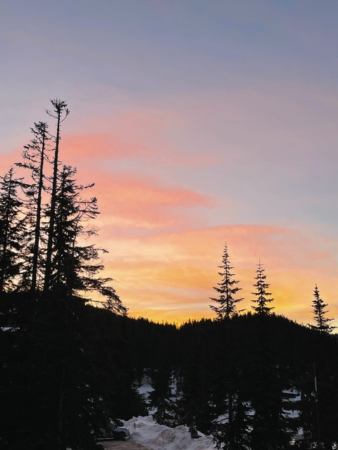 u135005916 @prettyblonde6969 cover picture