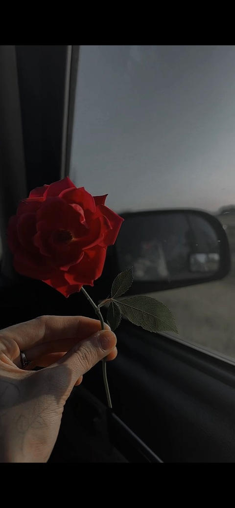 prettyflackodes @prettyflackodes cover picture