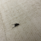 prettypenis69 Profile Picture