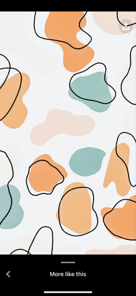 baby @princess.bb cover picture