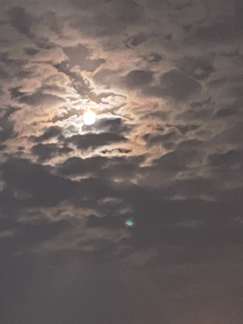 Kristen Croak @princess294476 cover picture