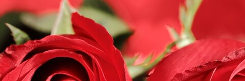 natalie @psychoaduex cover picture