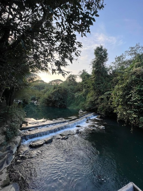 PufferPuft @pufferpuft cover picture