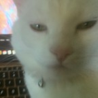 Leaked pussy onlyfans leaked